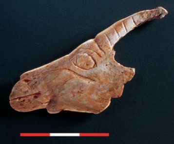Figure 5: Bone Ibex head from La Garma (Arias 2009).